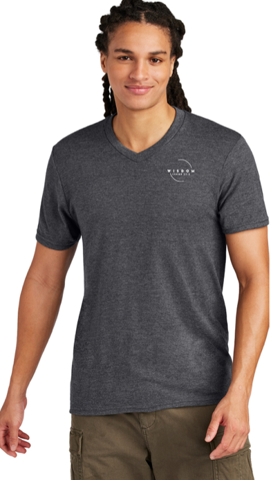 Unisex V-Neck T-Shirt